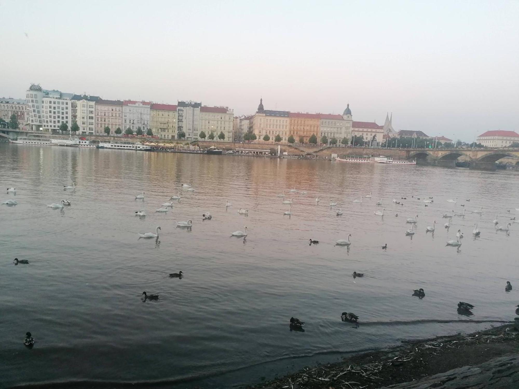 Valentinka Minutes Away From Charles Bridge Apartman Prága Kültér fotó